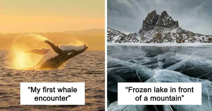 83 Satisfying Pictures That Feel Like A Gentle Reset Button For Your Day