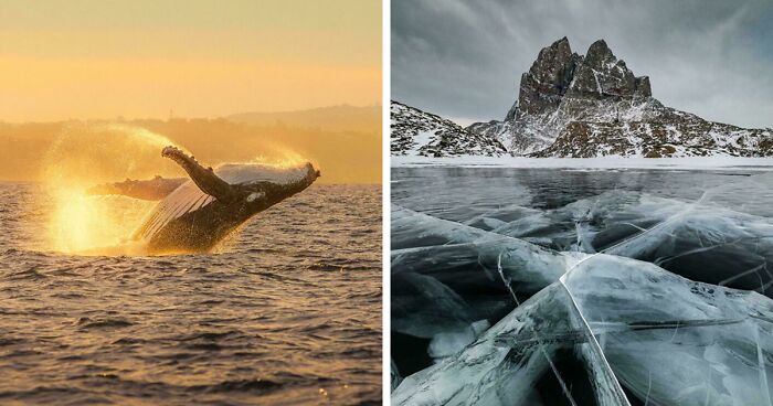 83 Satisfying Pictures That Feel Like A Gentle Reset Button For Your Day