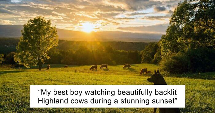 83 Satisfying Pictures That Feel Like A Gentle Reset Button For Your Day