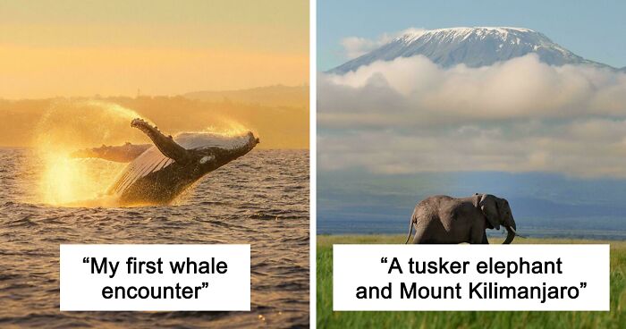 83 Satisfying Pictures That Feel Like A Gentle Reset Button For Your Day