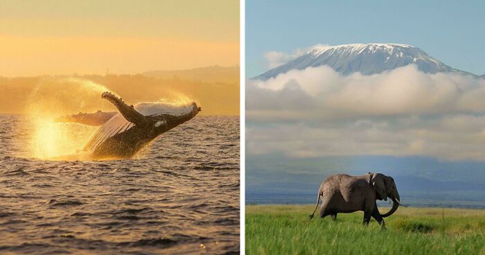 83 Satisfying Pictures That Feel Like A Gentle Reset Button For Your Day
