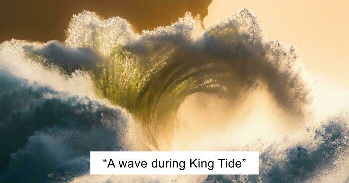 83 Satisfying Pictures That Feel Like A Gentle Reset Button For Your Day