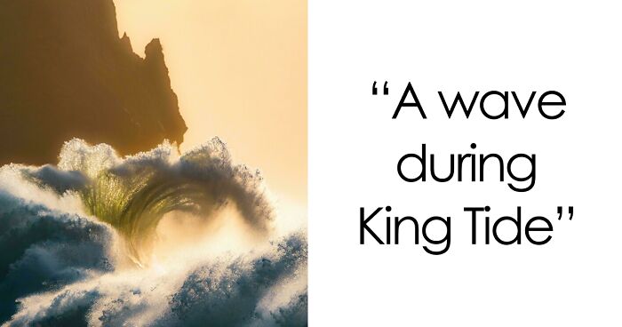 83 Satisfying Pictures That Feel Like A Gentle Reset Button For Your Day