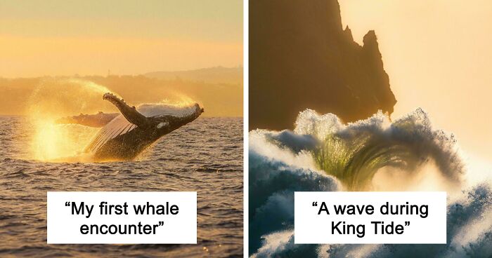 83 Satisfying Pictures That Feel Like A Gentle Reset Button For Your Day