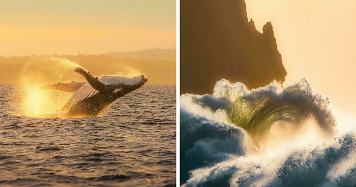83 Satisfying Pictures That Feel Like A Gentle Reset Button For Your Day
