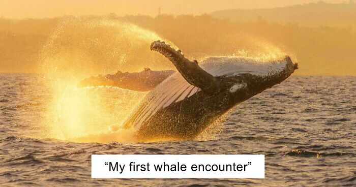 83 Satisfying Pictures That Feel Like A Gentle Reset Button For Your Day