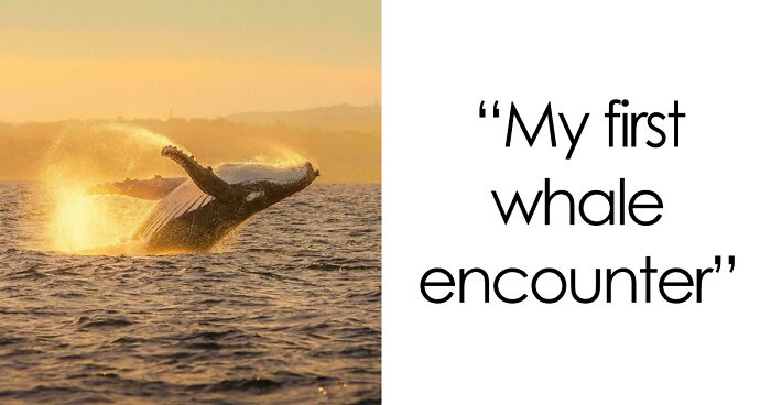 83 Satisfying Pictures That Feel Like A Gentle Reset Button For Your Day