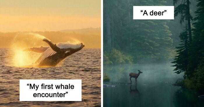 83 Satisfying Pictures That Feel Like A Gentle Reset Button For Your Day