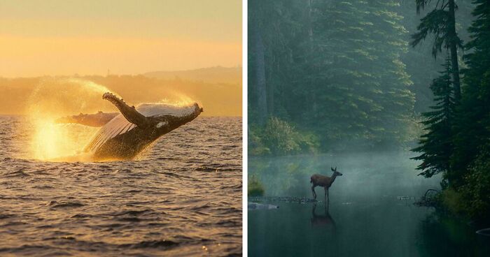 83 Satisfying Pictures That Feel Like A Gentle Reset Button For Your Day