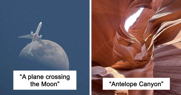 83 Satisfying Pictures That Feel Like A Gentle Reset Button For Your Day