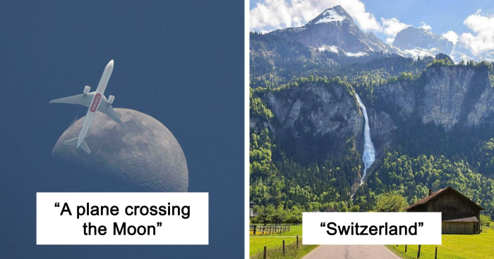 83 Satisfying Pictures That Feel Like A Gentle Reset Button For Your Day