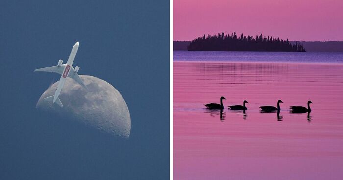 83 Satisfying Pictures That Feel Like A Gentle Reset Button For Your Day