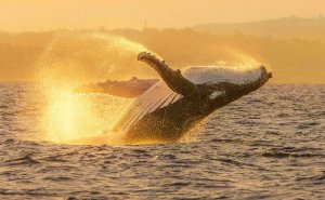 83 Surprisingly Satisfying Photos That Feel Like A Deep Breath For Your Brain