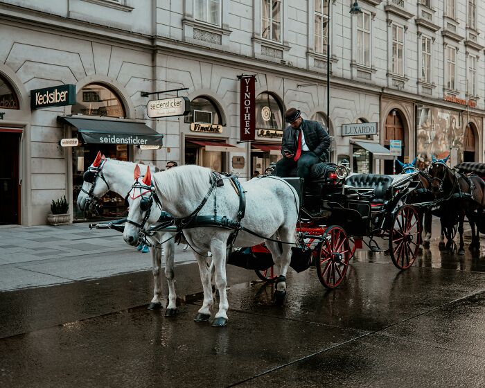 Horse-drawn carriage waiting on city street for wedding
