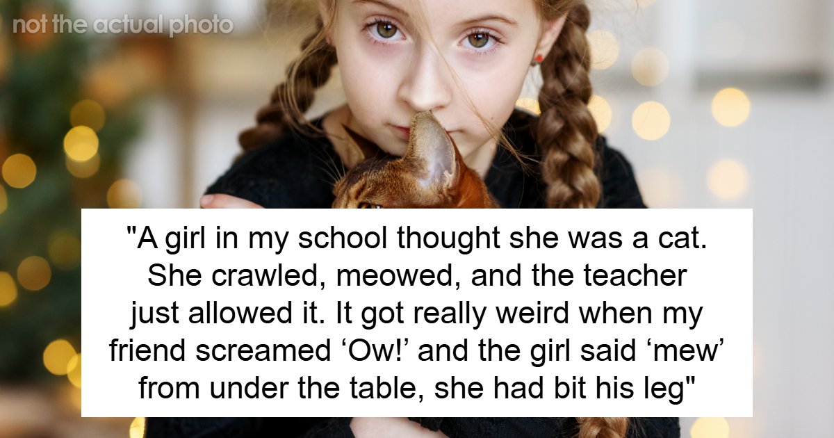 57 Times People Ended Up With Creepy Classmates And Had To Experience The Weirdest Things