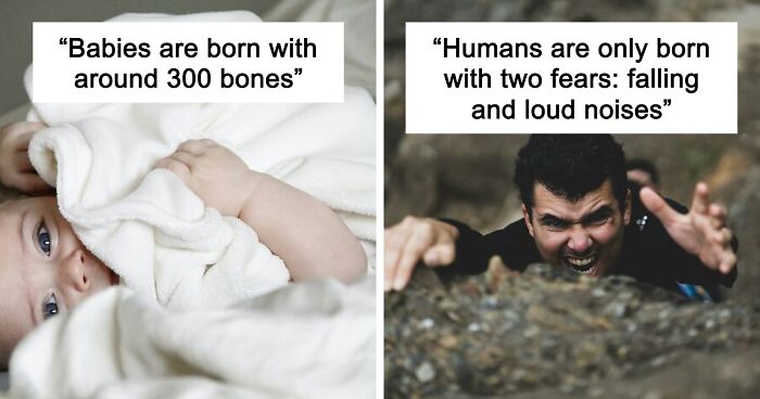 45 Random Facts That May Not Add Value To Your Life, But Can Make Your Day More Interesting