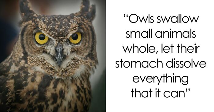 45 Random Facts That May Not Add Value To Your Life, But Can Make Your Day More Interesting