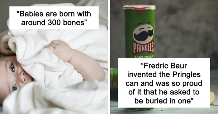 45 Random Facts That May Not Add Value To Your Life, But Can Make Your Day More Interesting