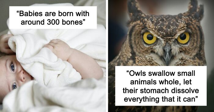 45 Random Facts That May Not Add Value To Your Life, But Can Make Your Day More Interesting