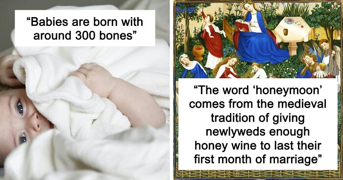 45 Random Facts That May Not Add Value To Your Life, But Can Make Your Day More Interesting