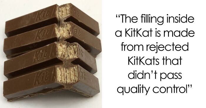 45 Random Facts That May Not Add Value To Your Life, But Can Make Your Day More Interesting