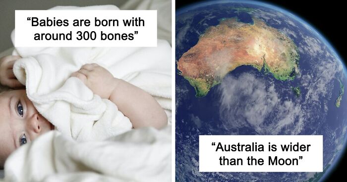 45 Random Facts That May Not Add Value To Your Life, But Can Make Your Day More Interesting