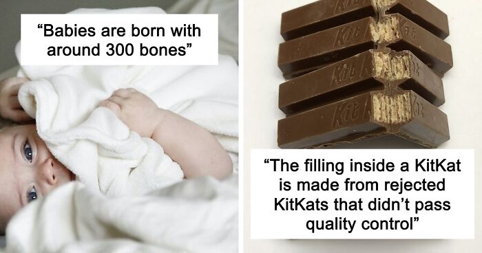 45 Random Facts That May Not Add Value To Your Life, But Can Make Your Day More Interesting