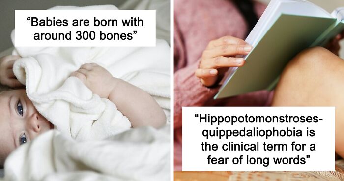 45 Random Facts That May Not Add Value To Your Life, But Can Make Your Day More Interesting