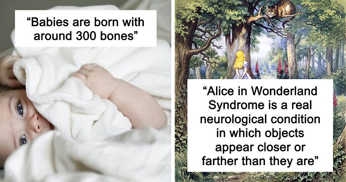 45 Random Facts That May Not Add Value To Your Life, But Can Make Your Day More Interesting