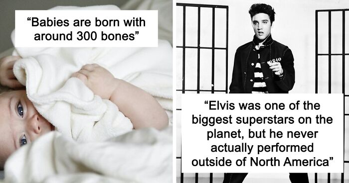 45 Random Facts That May Not Add Value To Your Life, But Can Make Your Day More Interesting