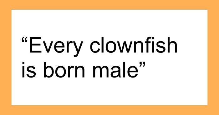 45 Random Facts That May Not Add Value To Your Life, But Can Make Your Day More Interesting