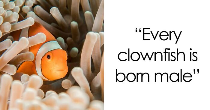 45 Random Facts That May Not Add Value To Your Life, But Can Make Your Day More Interesting