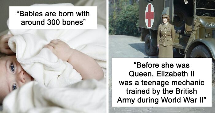 45 Random Facts That May Not Add Value To Your Life, But Can Make Your Day More Interesting