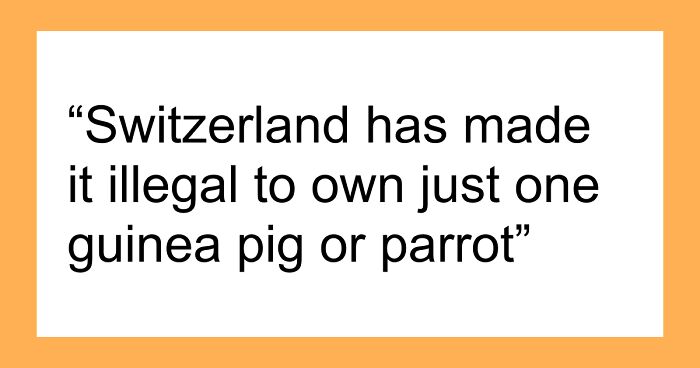 45 Random Facts That May Not Add Value To Your Life, But Can Make Your Day More Interesting