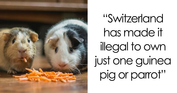 45 Random Facts That May Not Add Value To Your Life, But Can Make Your Day More Interesting