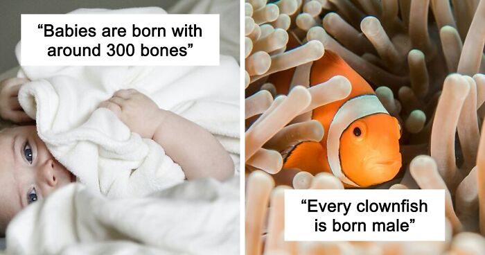 45 Random Facts That May Not Add Value To Your Life, But Can Make Your Day More Interesting
