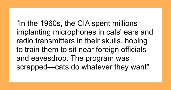 45 Random Facts That May Not Add Value To Your Life, But Can Make Your Day More Interesting