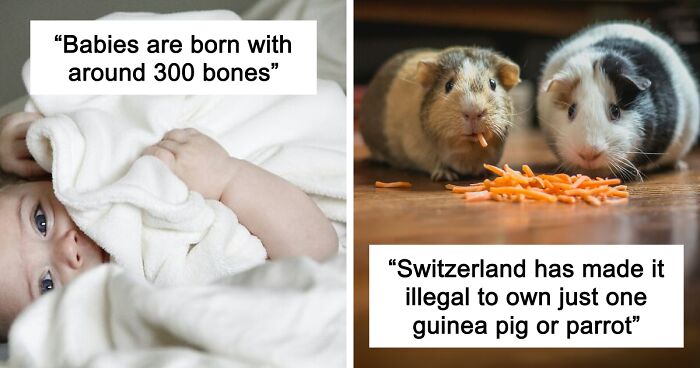 45 Random Facts That May Not Add Value To Your Life, But Can Make Your Day More Interesting
