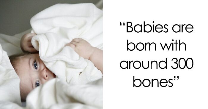 45 Random Facts That May Not Add Value To Your Life, But Can Make Your Day More Interesting