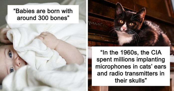 45 Random Facts That May Not Add Value To Your Life, But Can Make Your Day More Interesting