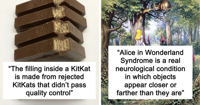 45 Random Facts That May Not Add Value To Your Life, But Can Make Your Day More Interesting