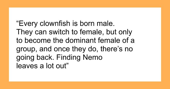 “The Most Terrifying Thing In The Ocean That You’ve Never Thought To Be Afraid Of”: 45 Random Facts
