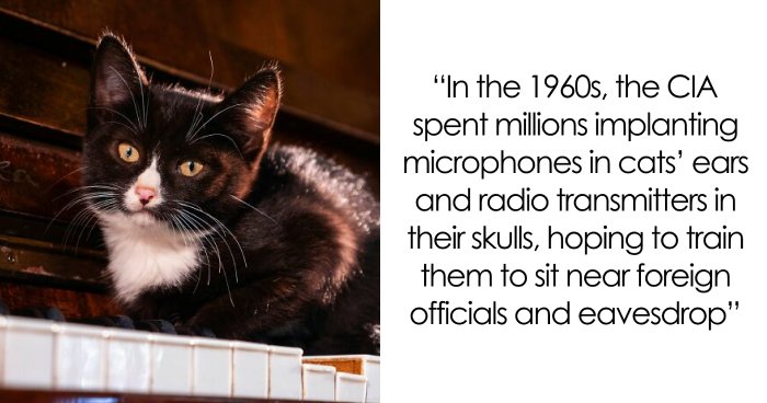 45 Random Facts That May Not Add Value To Your Life, But Can Make Your Day More Interesting