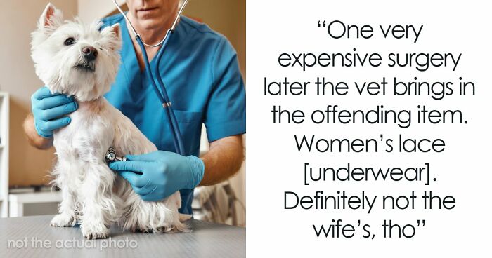 59 Times Cheaters Thought They Got Away With It, Only To Be Exposed In Ways They Didn’t See Coming