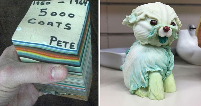 65 Absurd Secondhand Finds That Make You Seriously Question Reality (New Pics)