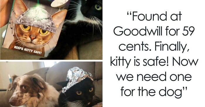 65 Absurd Secondhand Finds That Make You Seriously Question Reality (New Pics)
