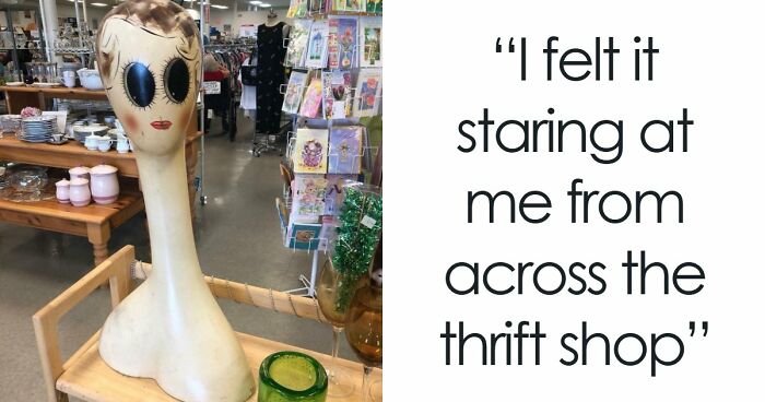 65 Absurd Secondhand Finds That Make You Seriously Question Reality (New Pics)
