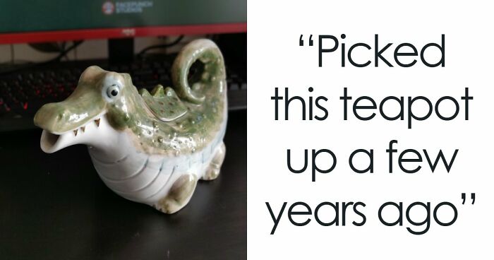 65 Absurd Secondhand Finds That Make You Seriously Question Reality (New Pics)