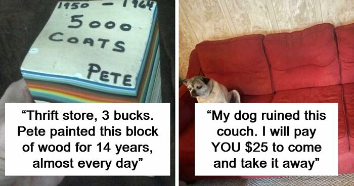65 Absurd Secondhand Finds That Make You Seriously Question Reality (New Pics)