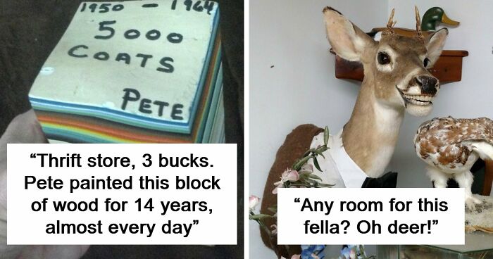 65 Absurd Secondhand Finds That Make You Seriously Question Reality (New Pics)